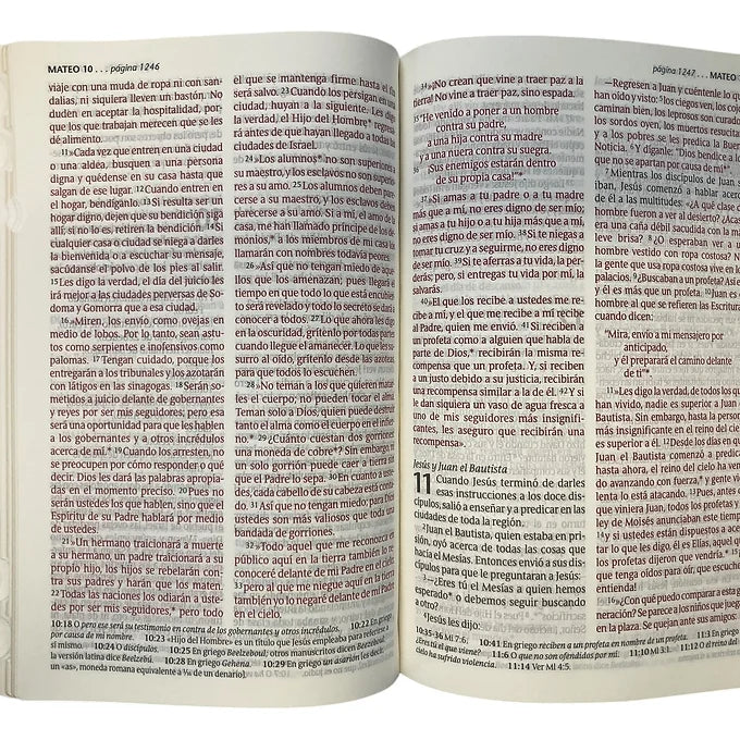 Biblia NTV, Letra Grande, Edición Personal, Imitacion Piel Verde Con Indice