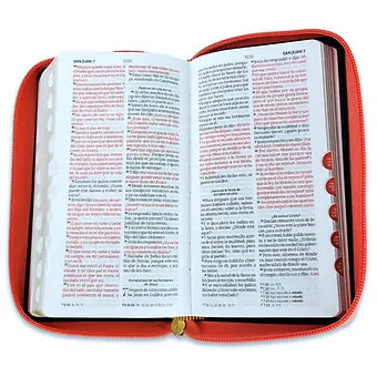 Biblia Tamano Chequera RV1960, Imitacion Piel Coral-Beige con Indice