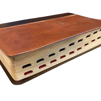 Biblia Tematica de Estudio RVR 1960, Símil Piel Marrón con índice