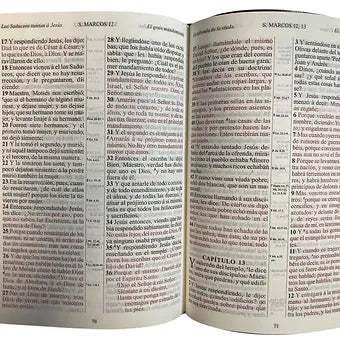 Biblia Letra Grande Tamano Manual RVR 1909, Imitacion Piel Vino Con Indice
