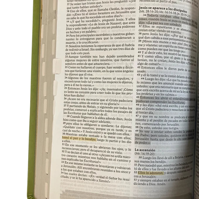 Biblia Oraciones y Promesas RVC, Símil Piel Verde Manzana Con Índice
