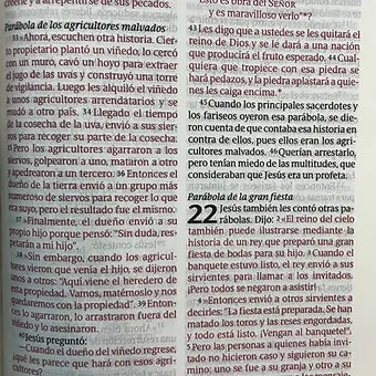 Biblia NTV, Edicion Clasica Letra Gigante, SentiPiel Negro Con Indice