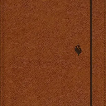 Biblia de estudio vida plena, RVR1960, Edicion clasica, Piel Italiana Cafe