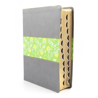 Biblia De Estudio Diario Vivir, NTV, Con Índice, SentiPiel Gris / Verde
