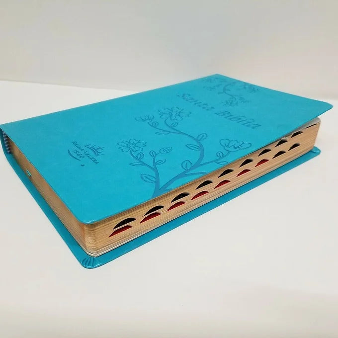 Biblia Tamaño Manual RVR 1960, Imitación Piel Turquesa Con Índice