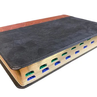 Biblia de Estudio Arcoiris, RVR 1960  Simil Piel Tostado-Negro Con Indice