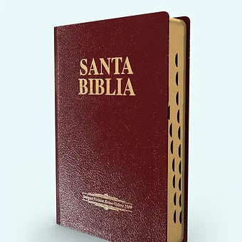 Biblia Letra Grande Tamano Manual RVR 1909, Imitacion Piel Vino Con Indice