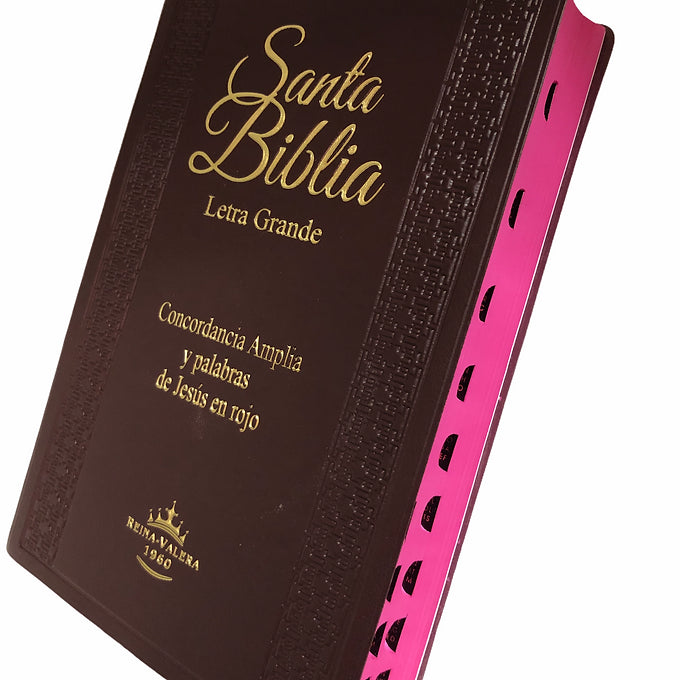 Biblia Letra Grande Tamaño Manual RVR 1960, Tapa De Vinil Vino