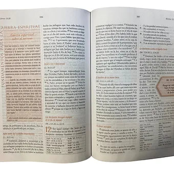 Biblia Para La Guerra Espiritual RVR 1960, Imitacion Piel Marron