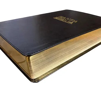 Biblia Letra Super Gigante NTV | SentiPiel Negro