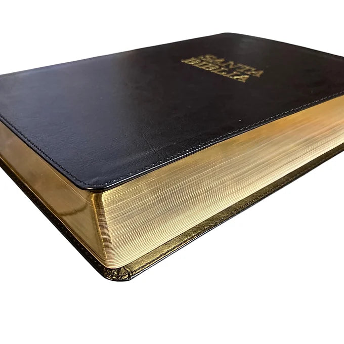 Biblia Letra Super Gigante NTV | SentiPiel Negro