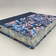 Biblia De Apuntes Ilustrada RVR 1960, Tela Rosa / Azul
