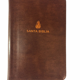 Biblia Letra Grande Tamaño Manual RVR 1960, Índice , Símil Piel Café