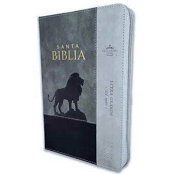 Biblia Letra Grande Tamano Manual 12Pts,Cierre RVR 1960, | Imitacion Piel Gris L