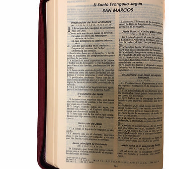 Biblia Más Liviana RVR 1960, Imitación Piel Con Zíper
