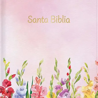Biblia Letra Grande Tamano Manual 12 Pts RVR 60, Simil Piel Fuscia