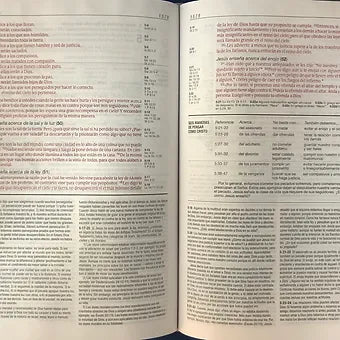 Biblia De Estudio Diario Vivir NTV, SentiPiel Gris / Verde