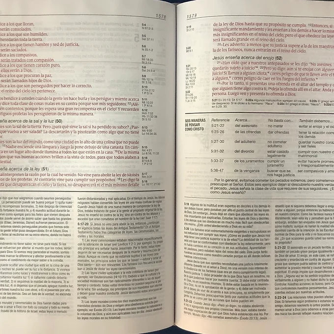 Biblia De Estudio Diario Vivir NTV, SentiPiel Gris / Verde