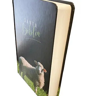 Biblia RVR60 Letra Grande, Manual, Tapa Dura con Nombres de DiosDios, Cordero d