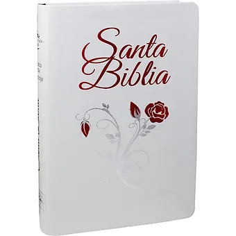 Biblia Letra Grande Tamano Manual 12 Puntos, RVR 1960, Imitacion Piel Con indice
