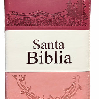 Biblia Letra Grande Tamaño Manual RVR 1960, Con Índice