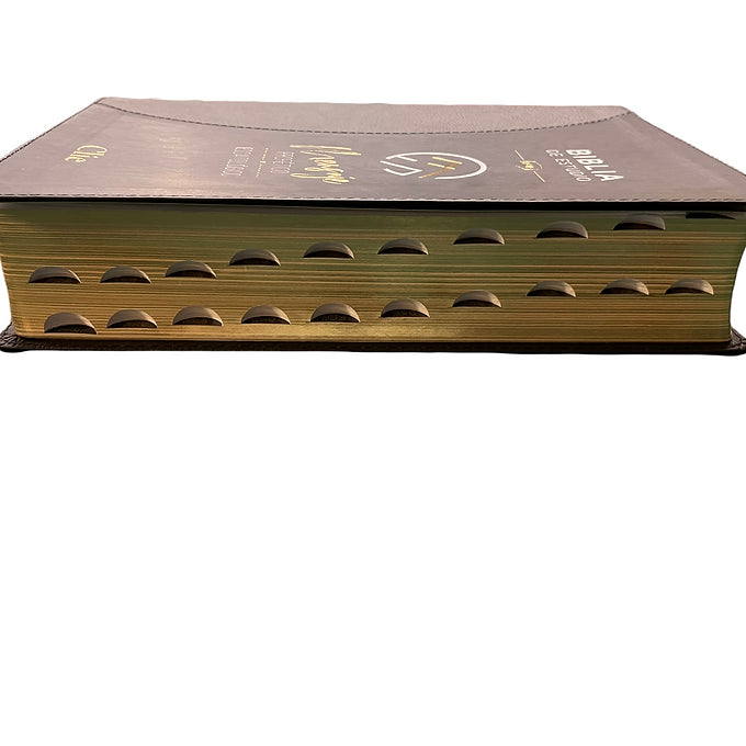 Biblia de estudio RVR, Mensaje Profético y Escatológico, Imitación Piel, Índice
