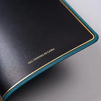 Biblia Reina Valera 1960, Deluxe, Piel Genuina Turquesa