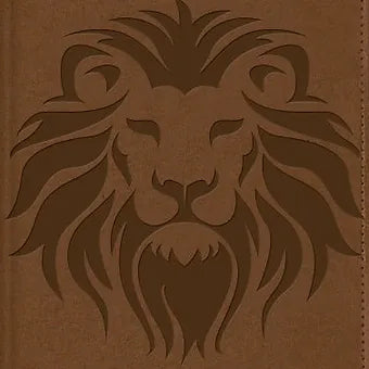 Biblia visual de estudio para niños: NBLA Explora la Biblia