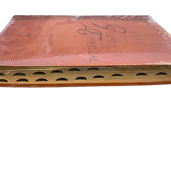 Biblia Para La Guerra Espiritual RVR 1960, Imitacion Piel Marron