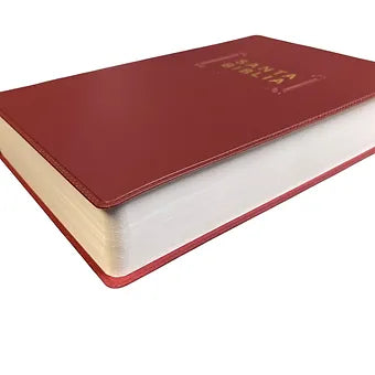Biblia NTV, Edicion premio y regalo | Vynil  Vino Tinto