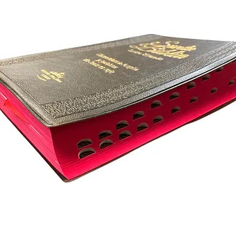 Biblia Letra Grande Tamaño Manual RVR 1960, Tapa De Vinil Negro Con Índice