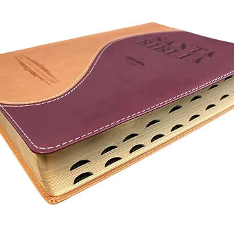 Biblia Letra Gigante RVR 1909, Simil Piel Crema-Marron Con Indice