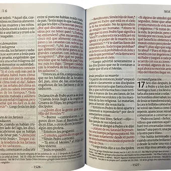 Biblia Letra Super Gigante NTV | SentiPiel Negro