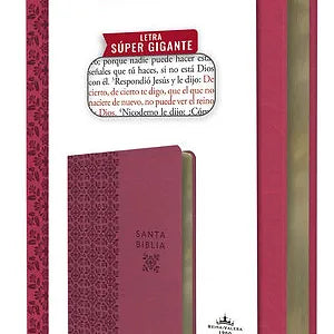 Biblia Reina Valera Revisada 1960 letra super gigante, símil piel fucsia rosada