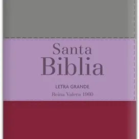 Biblia Letra Grande Tamano Manual, Indice y Cierre, Marron-Lila-Gris