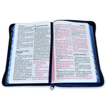 Biblia Letra Gigante Manual 14 pts, RV1960, Imitacion Piel Floral Indice y Cierre
