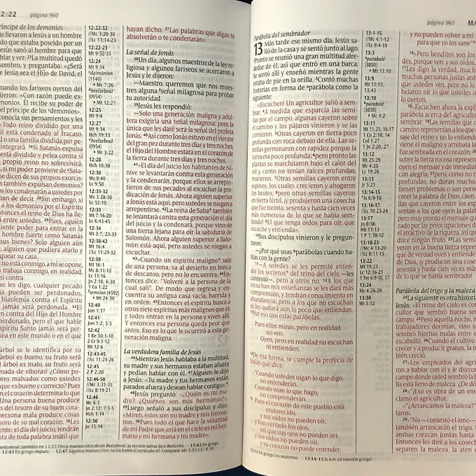 Biblia NTV, Ultrafina, SentiPiel Café / Marfil