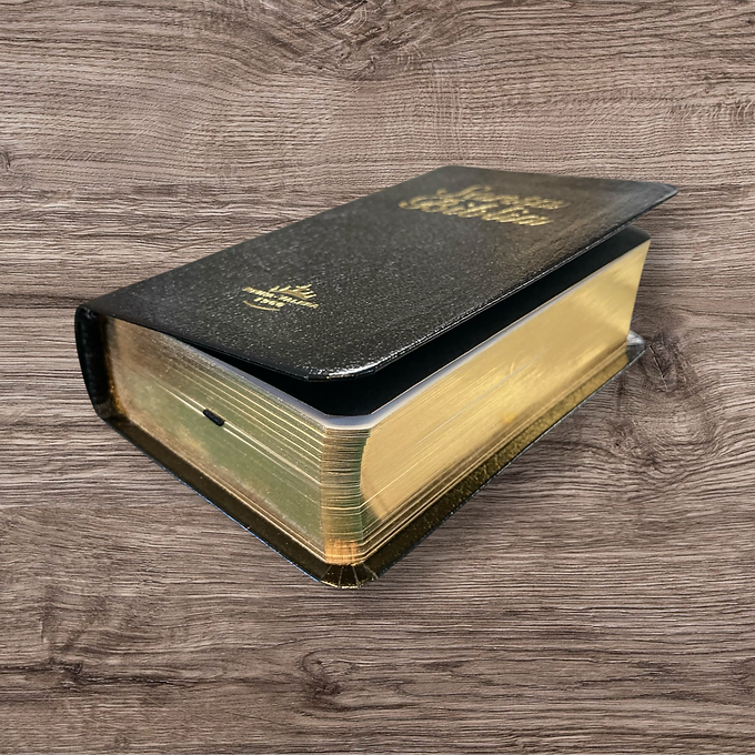 Biblia Minibolsillo |   Imitacion piel Negro