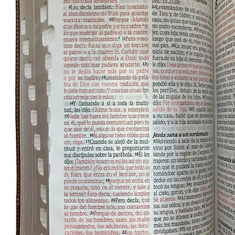 Biblia de Promesas RVR60, Jesus para todos, Letra Grde, T/M, Piel  Cafe, Indice