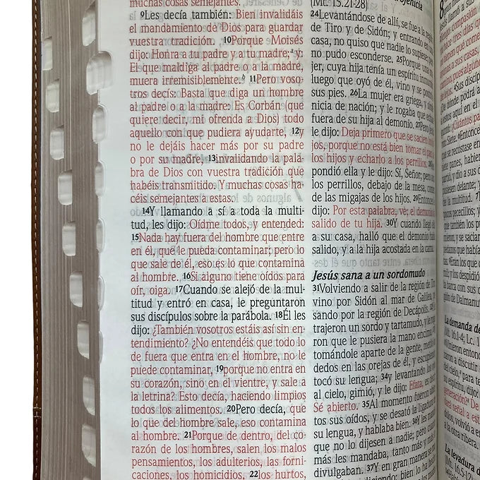 Biblia de Promesas RVR60, Jesus para todos, Letra Grde, T/M, Piel  Cafe, Indice