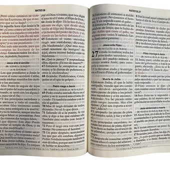 Biblia Letra Grande RVR 1960, Simil Piel Marron-Azul Con Indice