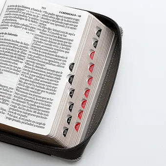 Biblia Tamano Compacto, RVR60, Letra Grande 11 Puntos,Cierre | Piel Tricolor Agu