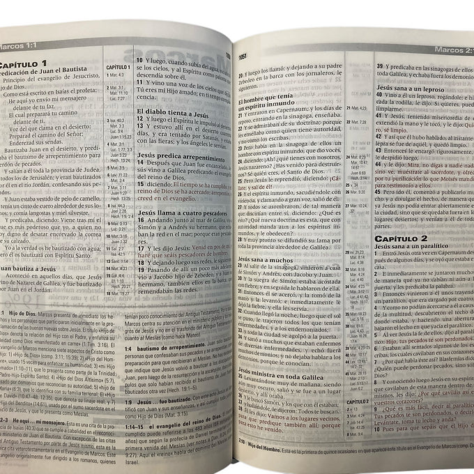 Biblia de Estudio de la Profecia RVR60 / Imitacion Piel Negra