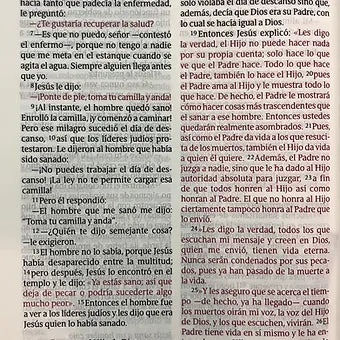 Biblia NTV, Edición Clásica Letra Gigante, SentiPiel Vino Tinto
