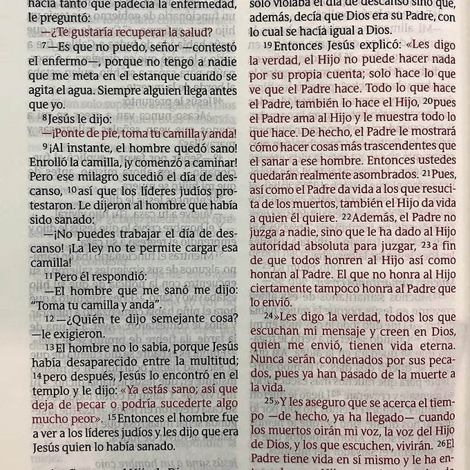 Biblia NTV, Edición Clásica Letra Gigante, SentiPiel Vino Tinto