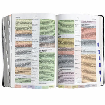 Biblia De Estudio Arco Iris RVR 1960, Piel Fabricada Negro Con Índice