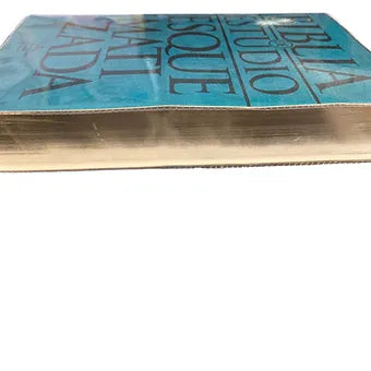 Biblia De Estudio Esquematizada RVR 1960, Pasta Flexible