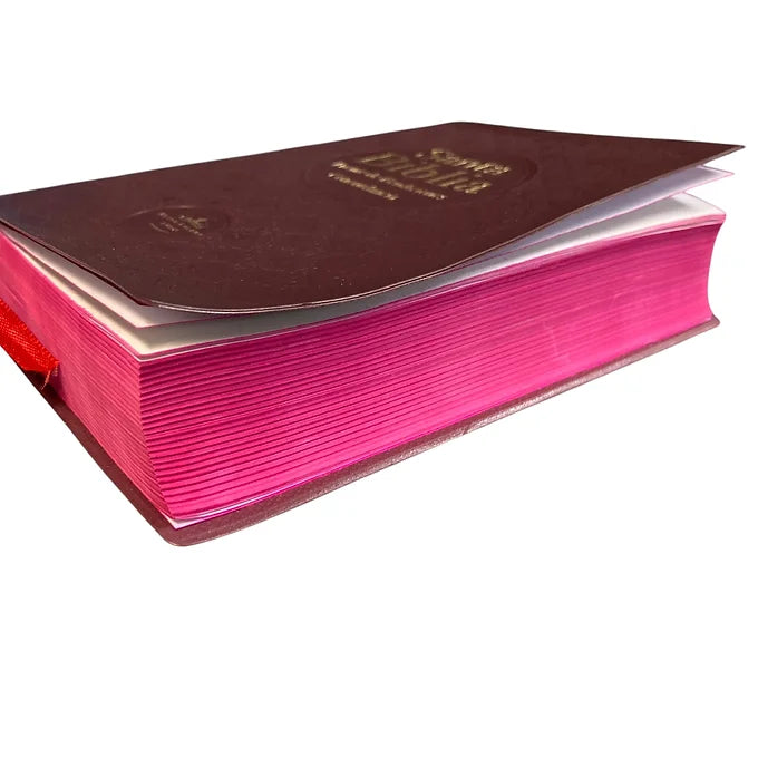 Biblia Compacts RVR 1960, Fuentes de Bendicion, Tapa de Vinil Marron