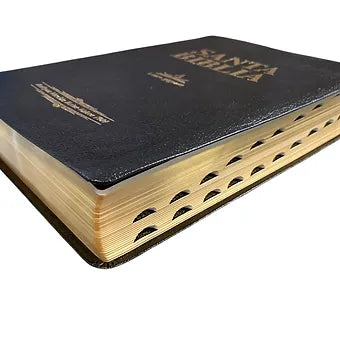Biblia Letra Gigante RVR 1909, Imitacion Piel Negro Con Indice