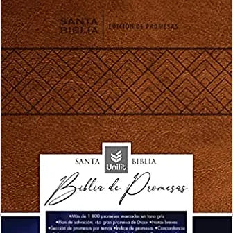 Biblia de Promesas Letra Gigante RVR 1960, Piel Especial Café Con Índice